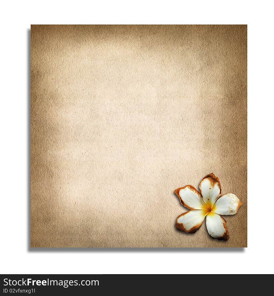 Old paper and plumeria