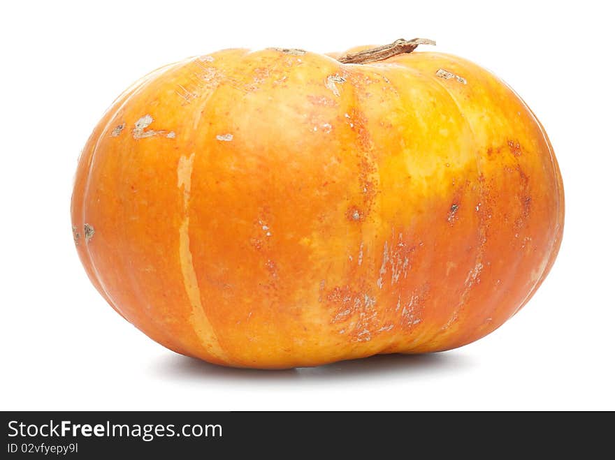 Orange pumpkin