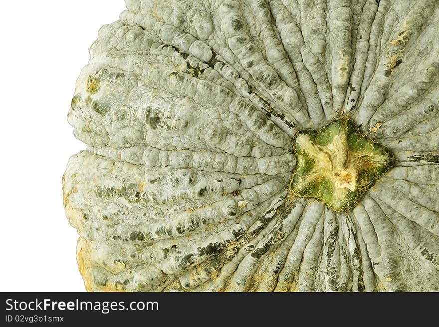 Close UP pumpkin detail as top view