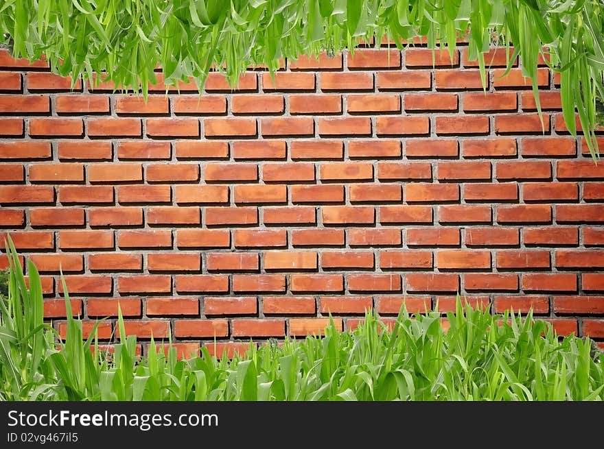 Brickwall and curve grass background