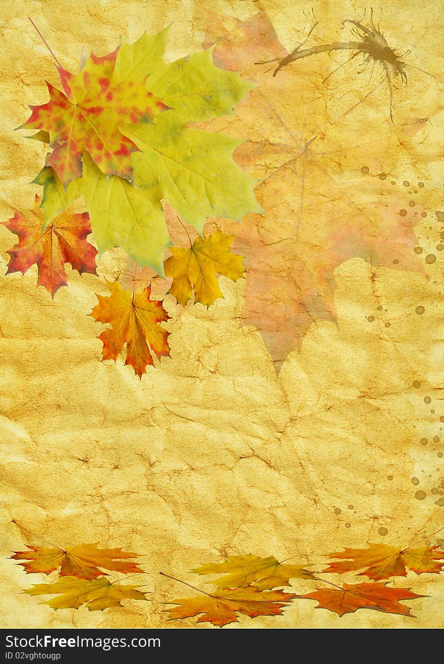 Autumn leaf on old paper grunge