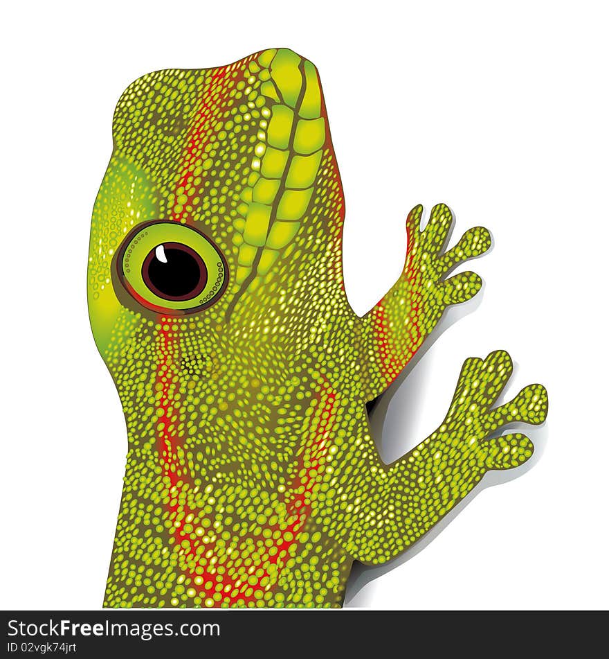 Green gecko, gecko reptile  green