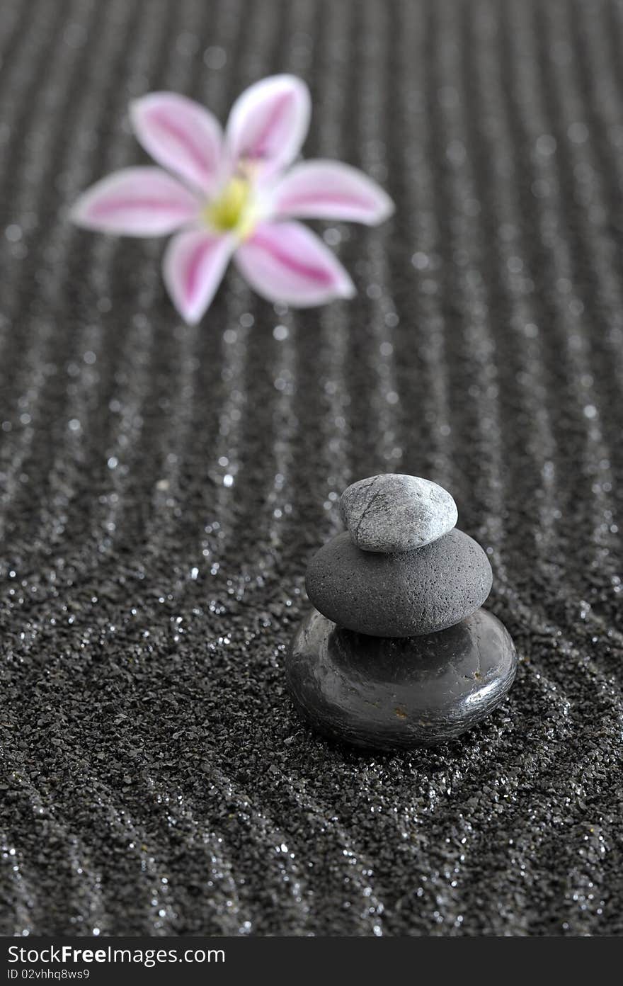 Zen garden in black raked sand with stones and flower