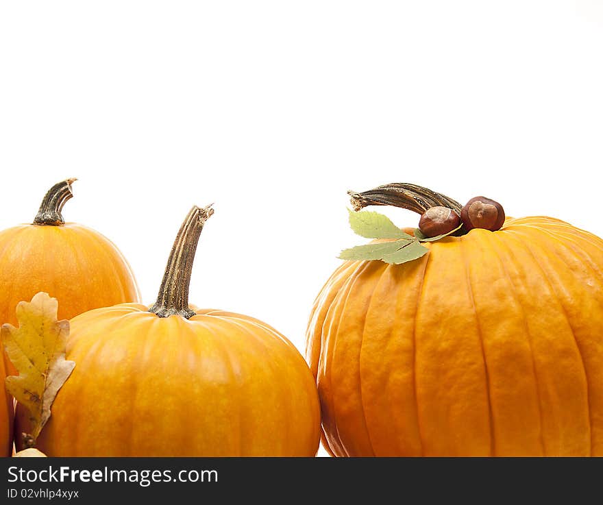 Isolated orange pumpkins with chesnuts