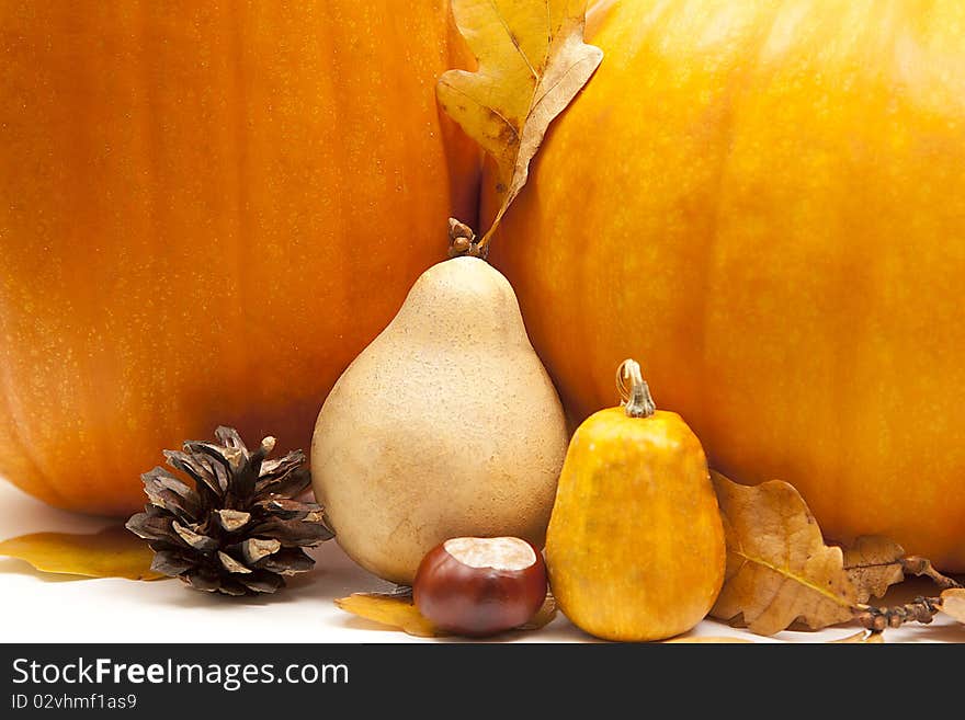 Orange pumpkins with chesnuts for halloween decoration. Orange pumpkins with chesnuts for halloween decoration