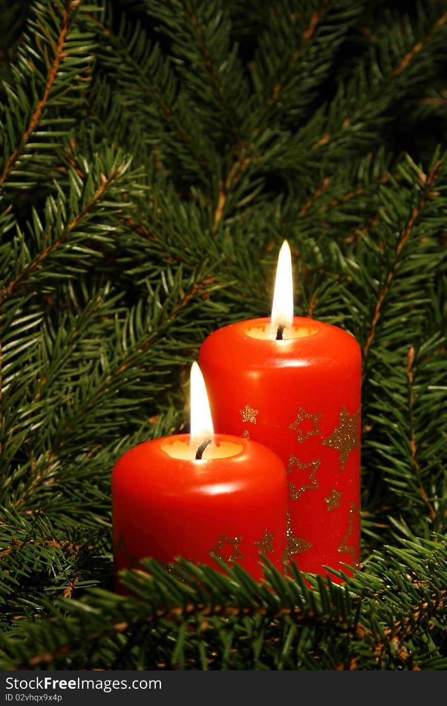 Two candles burning amongst twigs of the spruce. Two candles burning amongst twigs of the spruce