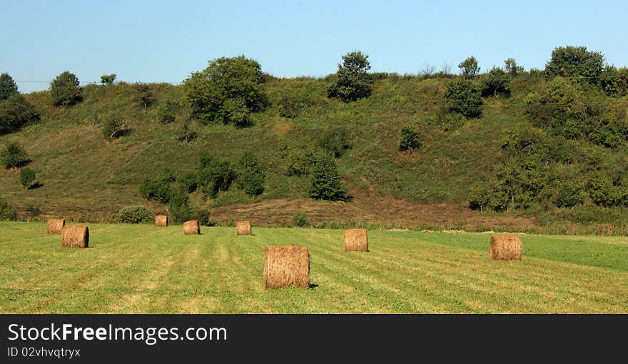 Rolls of Hay spread out on the field near a green hill. Rolls of Hay spread out on the field near a green hill.