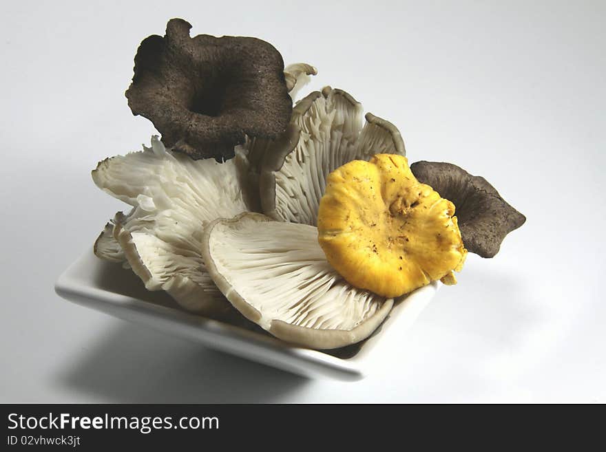 Chanterelle , Oyster Mushrooms And Horns Of Plenty