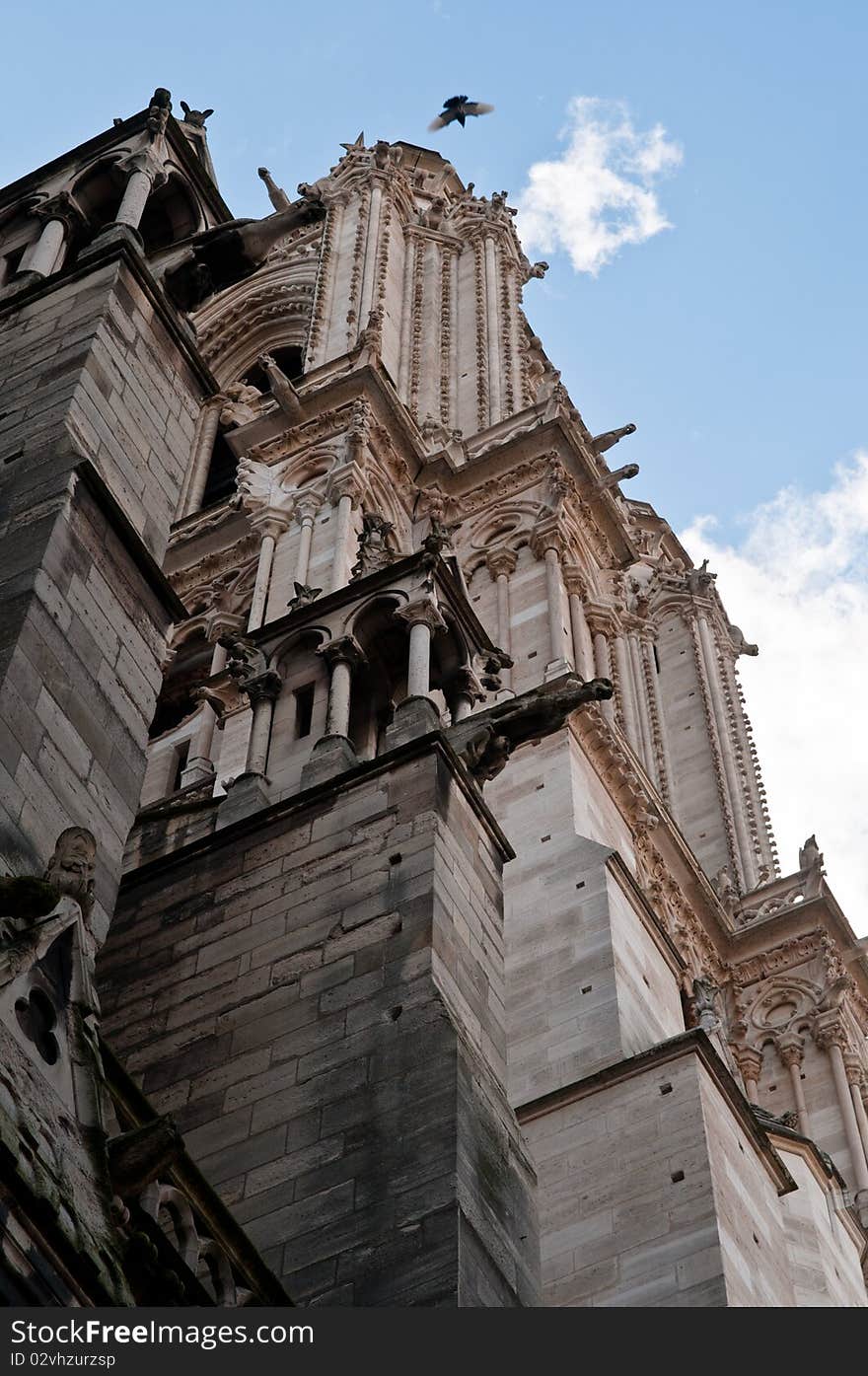 A bird's eye view of one of the towers of Notre Dame Cathedral, Paris. A bird's eye view of one of the towers of Notre Dame Cathedral, Paris