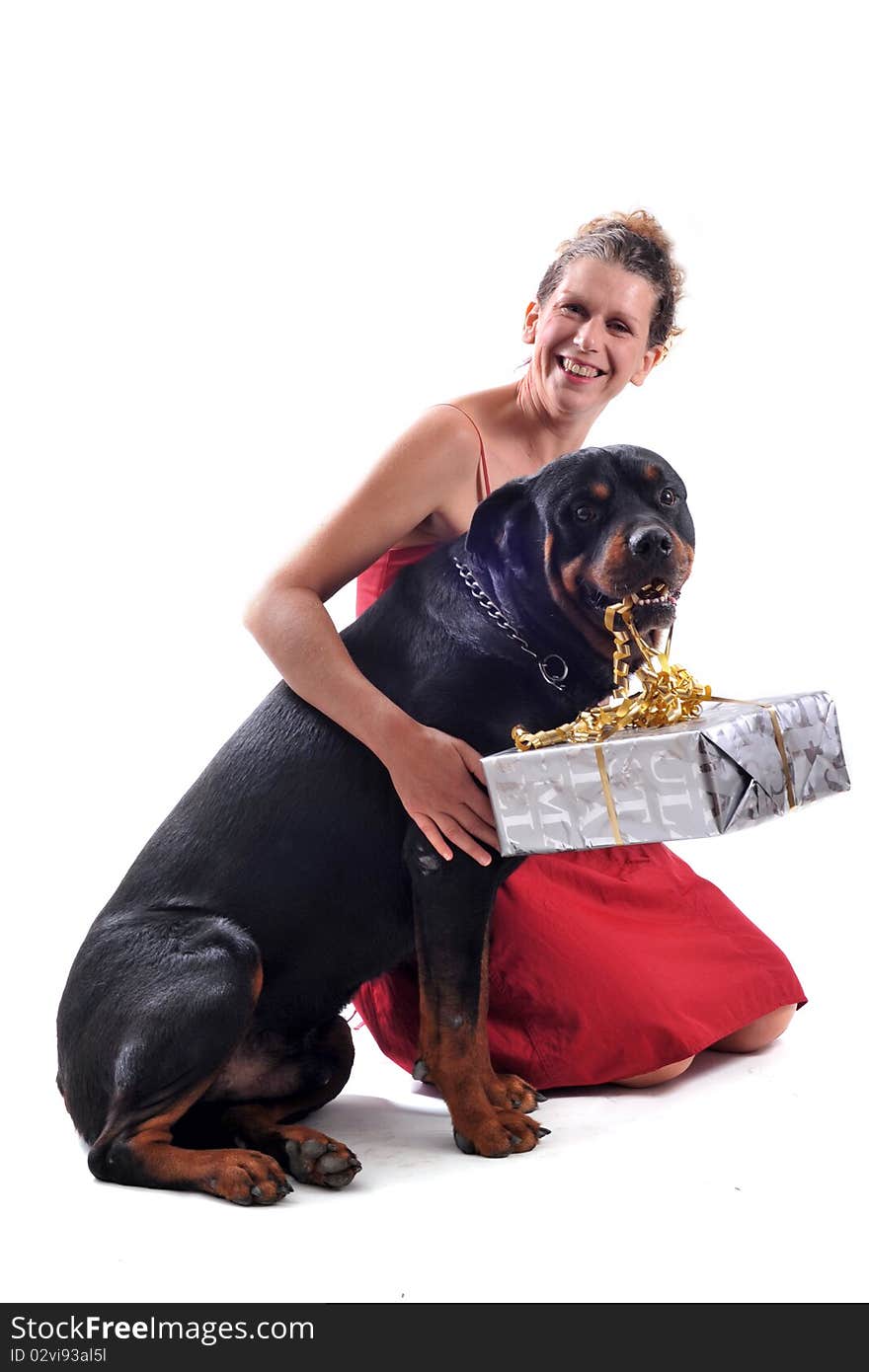 Purebred rottweiler sitting with gift and woman in a red dress. Purebred rottweiler sitting with gift and woman in a red dress