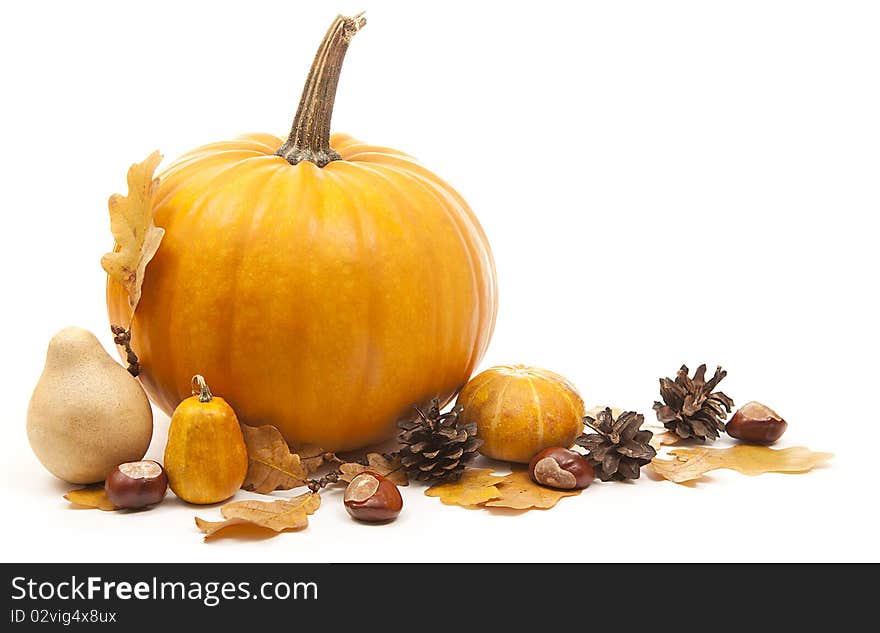 Orange pumpkins with chesnuts for halloween decoration. Orange pumpkins with chesnuts for halloween decoration