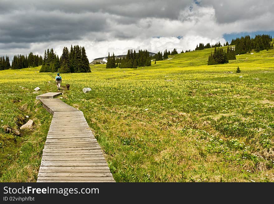 Female Hiker