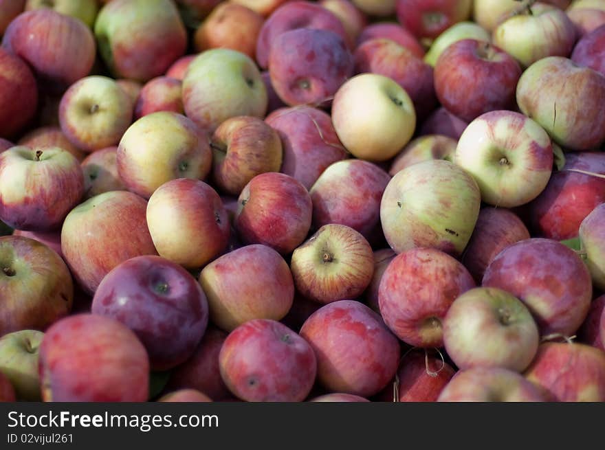 Image of the cortland and mcintosh apples.