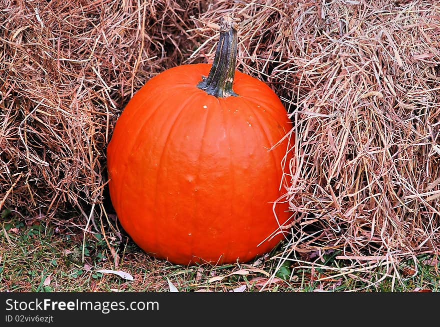 A single pumpkin sits next to bales of hay. It is Fall in the picture. A single pumpkin sits next to bales of hay. It is Fall in the picture.