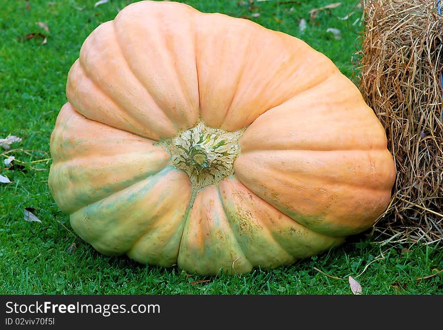 A large orange pumpkin sits on the grass next to a hay bale . A large orange pumpkin sits on the grass next to a hay bale .