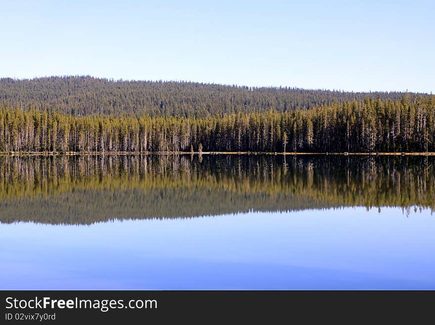 Reflections of the pine forest trees in Squaw Lake at the Sky Lakes Wilderness in southern Oregon. Reflections of the pine forest trees in Squaw Lake at the Sky Lakes Wilderness in southern Oregon.