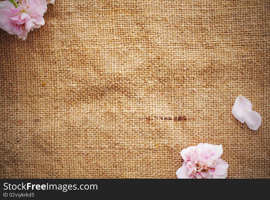 A blank grungy canvas texture. Great for backgrounds. A blank grungy canvas texture. Great for backgrounds.