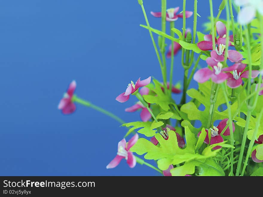 Fake flower make from plastic with blue background