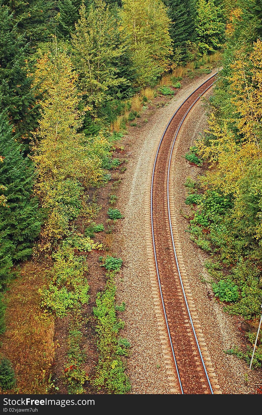 Railroad in forest