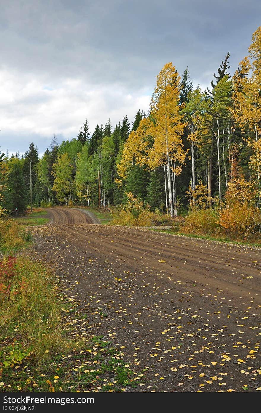 Dirt road running through autumn countryside. Dirt road running through autumn countryside