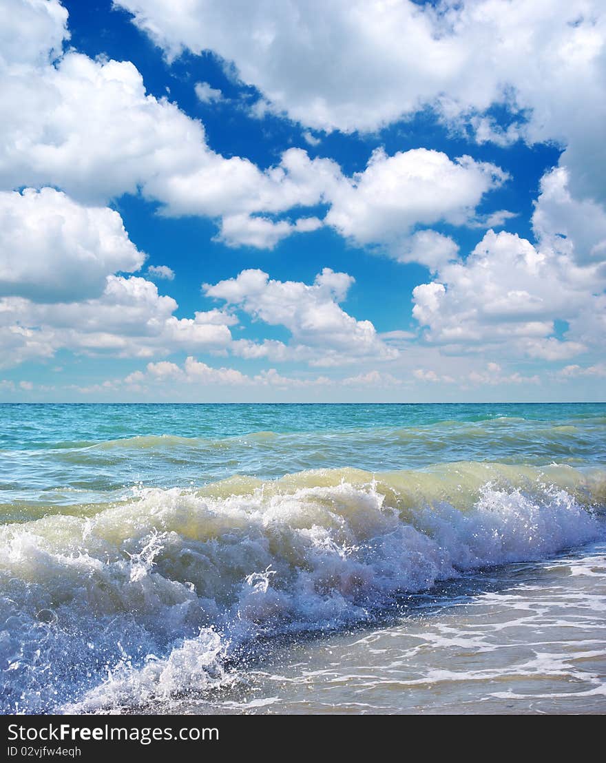 Beautiful coast of beach at day