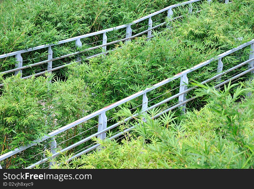 Hand rail in bias among bushes and green plant. Hand rail in bias among bushes and green plant.