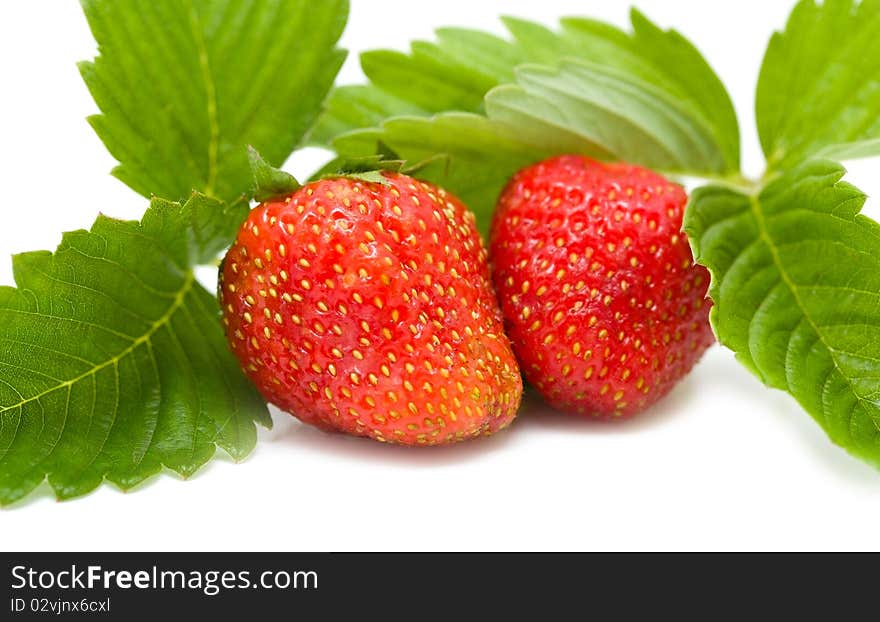 Beautiful strawberries isolated on white with a shade. macro