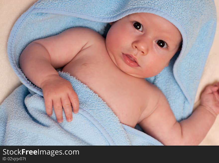 Portrait of cute child boy