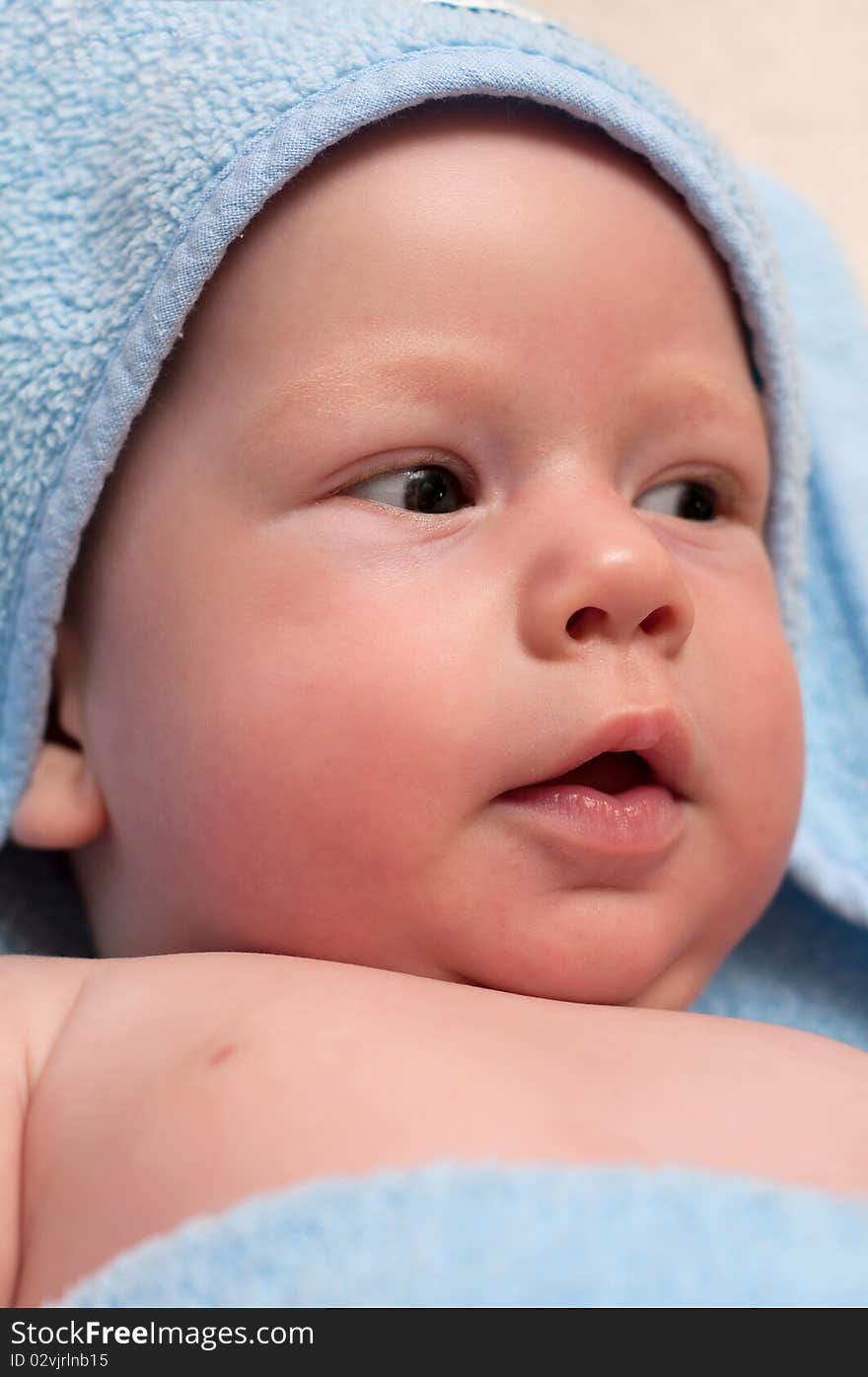 Portrait of cute child boy