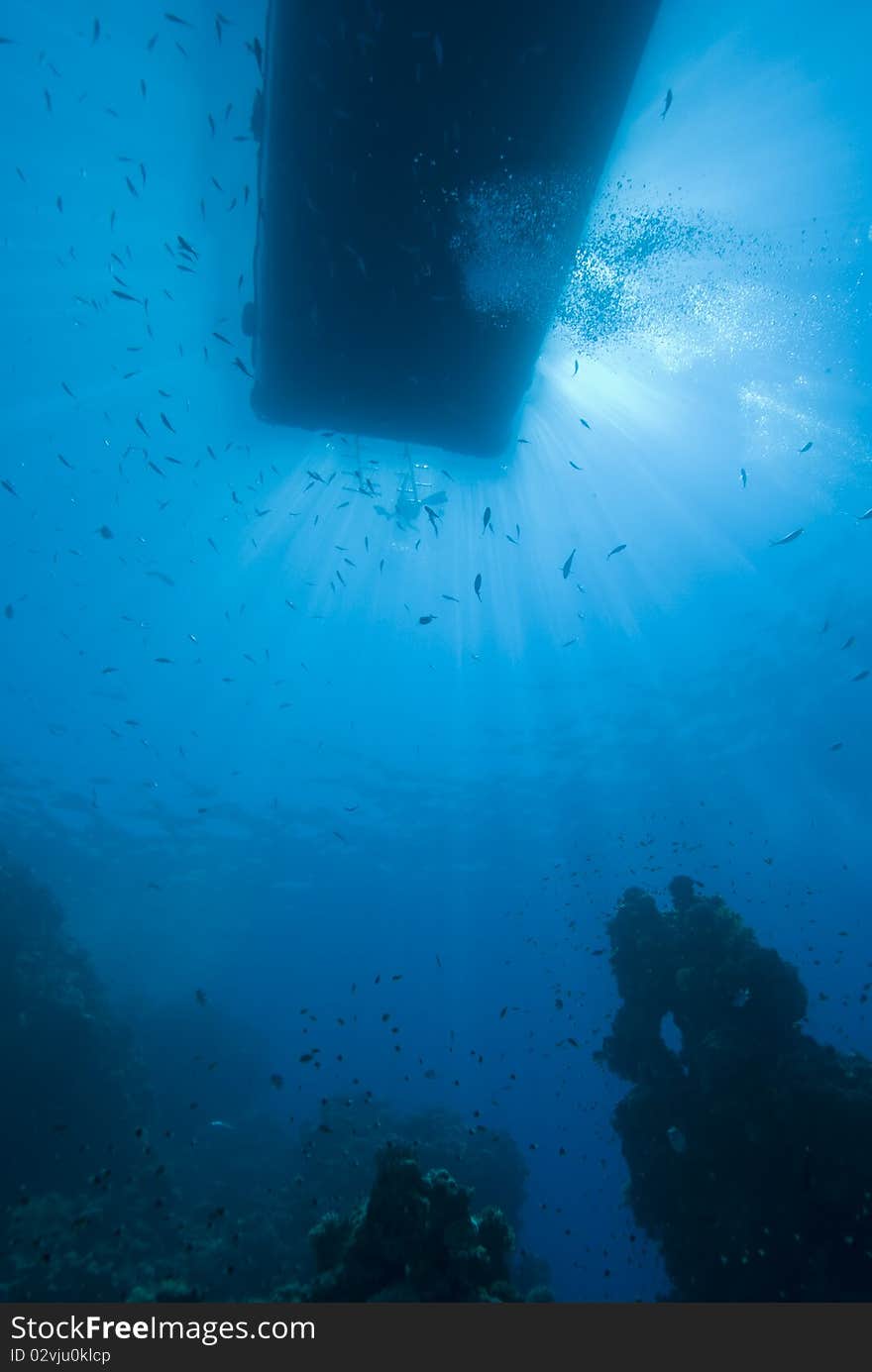 Underwater view of boat silhouette.