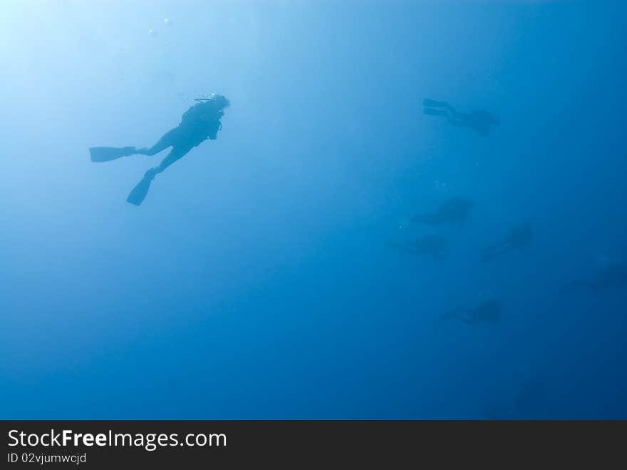 Scuba Divers Silhouettes Underwater.