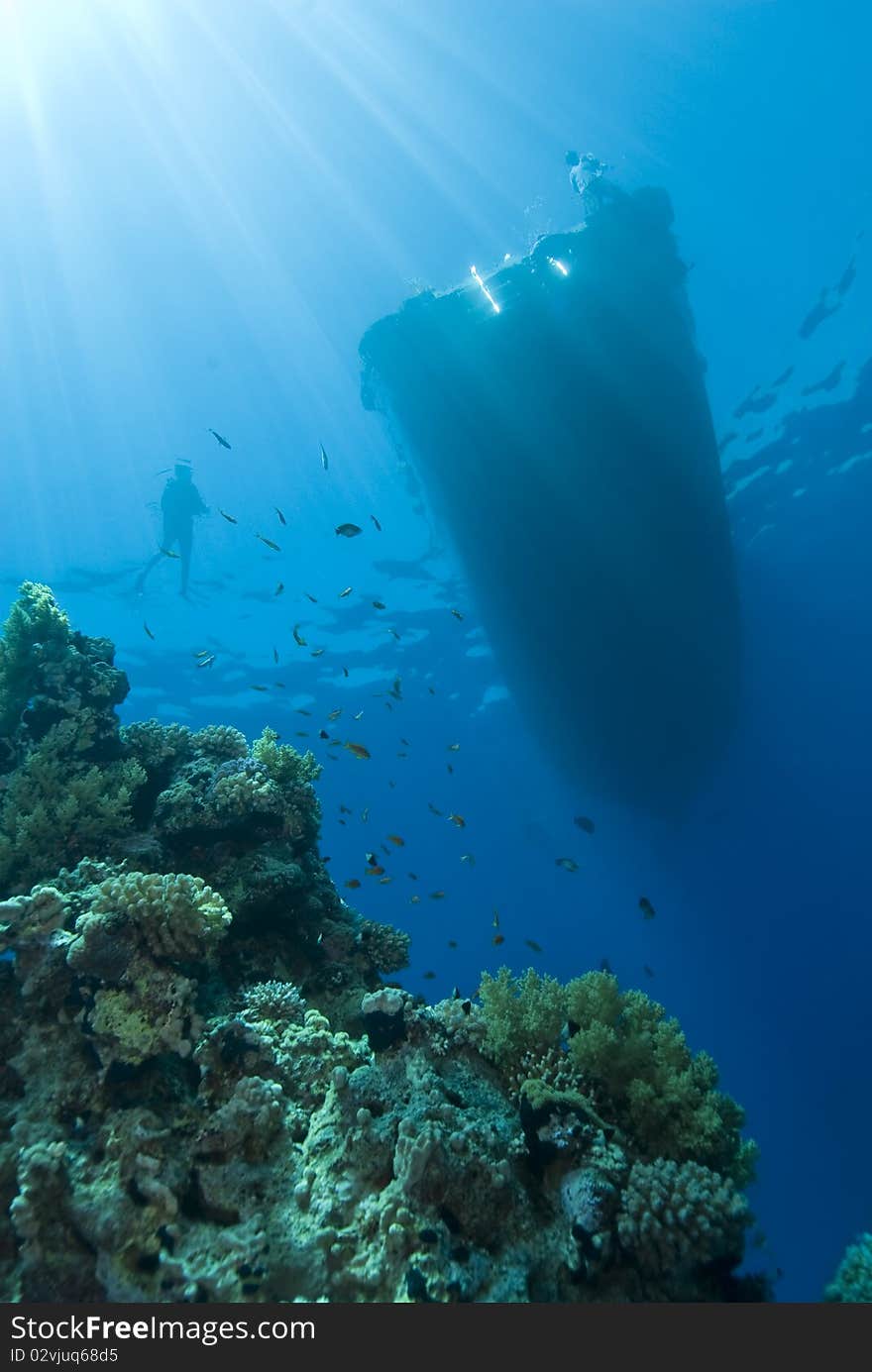 Underwater view of boat silhouette with sunrays and scuba diver on the water surface. Temple, Sharm el Sheikh, Red Sea, Egypt. Underwater view of boat silhouette with sunrays and scuba diver on the water surface. Temple, Sharm el Sheikh, Red Sea, Egypt.