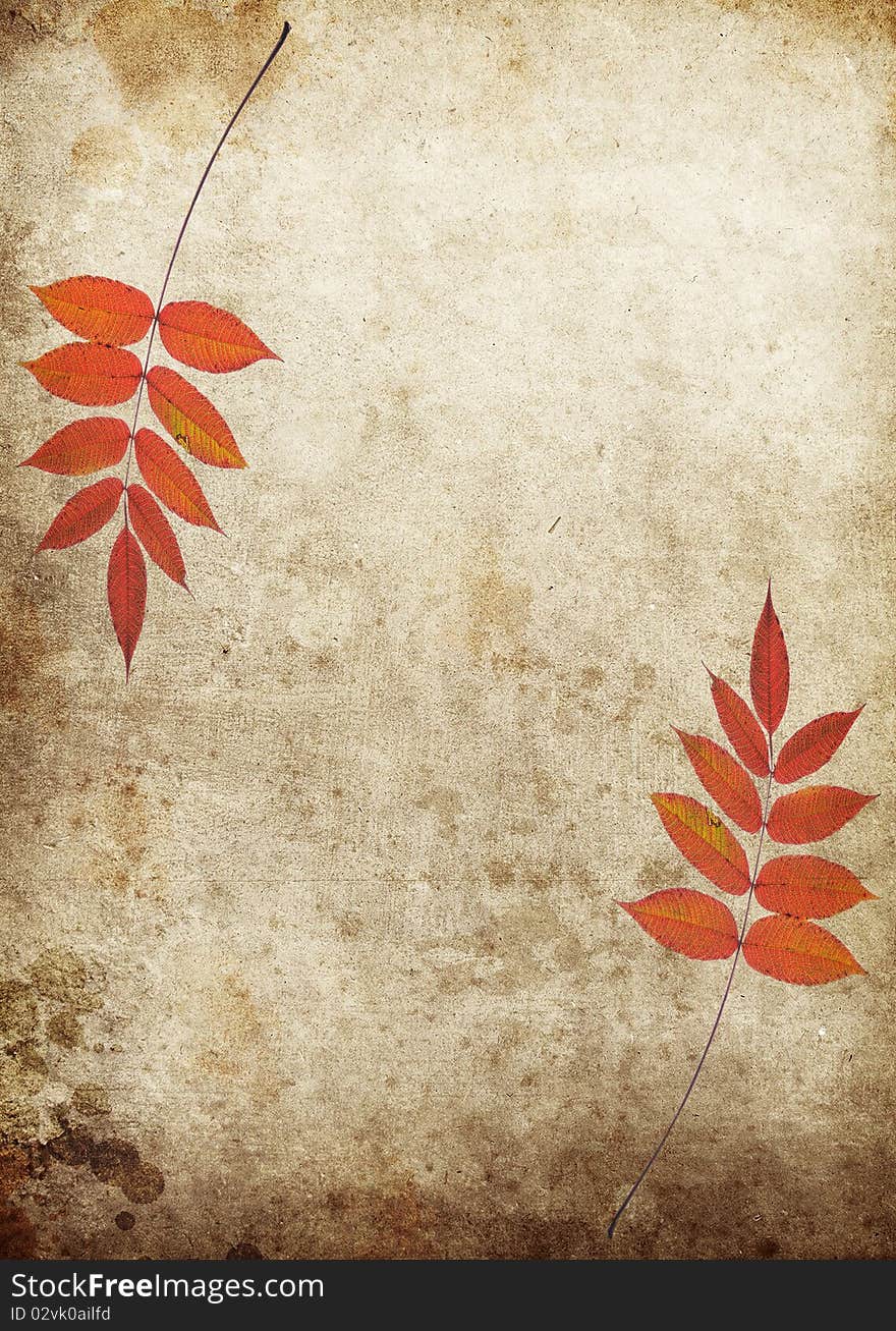 Autumn Leaves