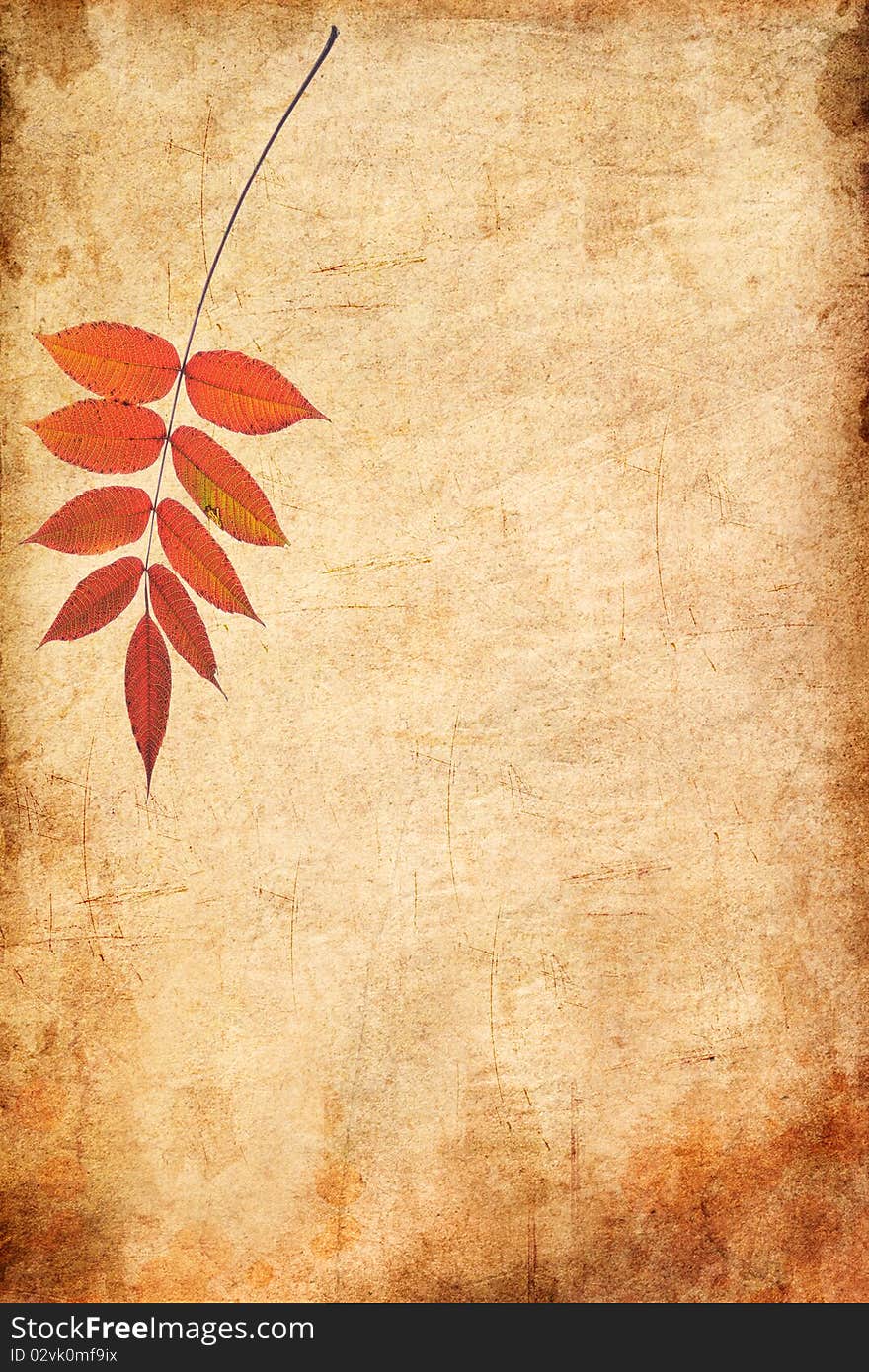 Autumn Leaves on the Old Paper