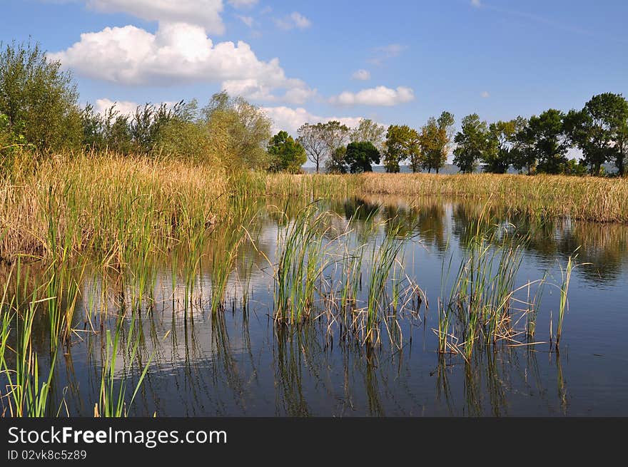 Old pond.