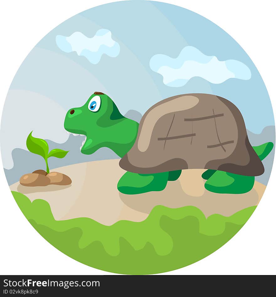 Little turtle eats green plant