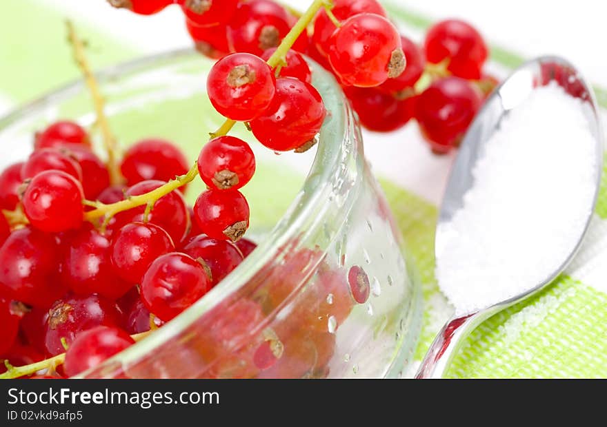 Fresh currant in bowl closeup