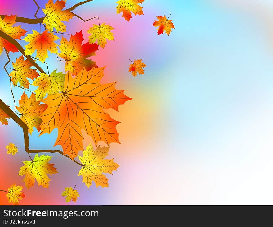 Autumn red leaves, shallow focus.