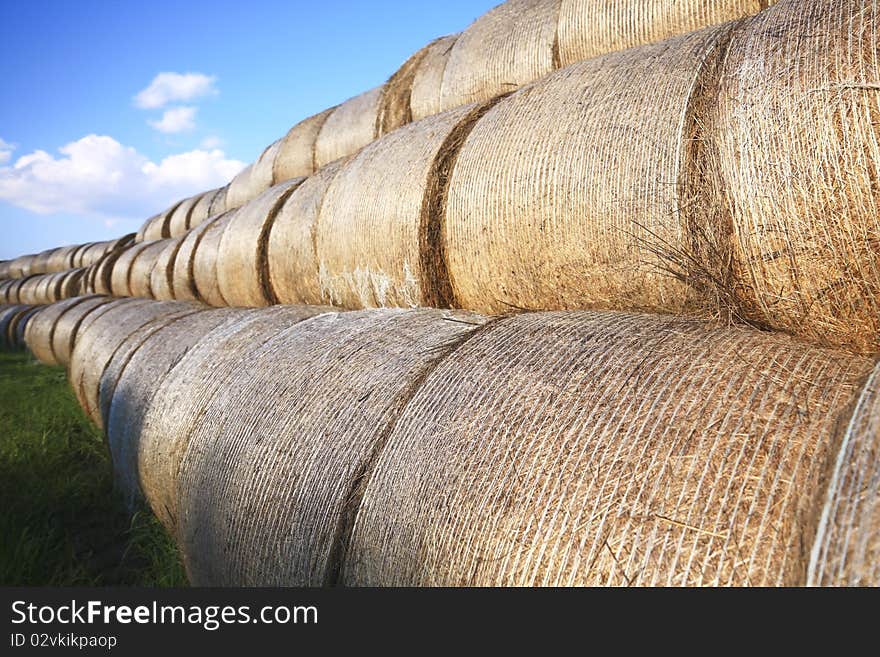 Bales of hay stacked up high