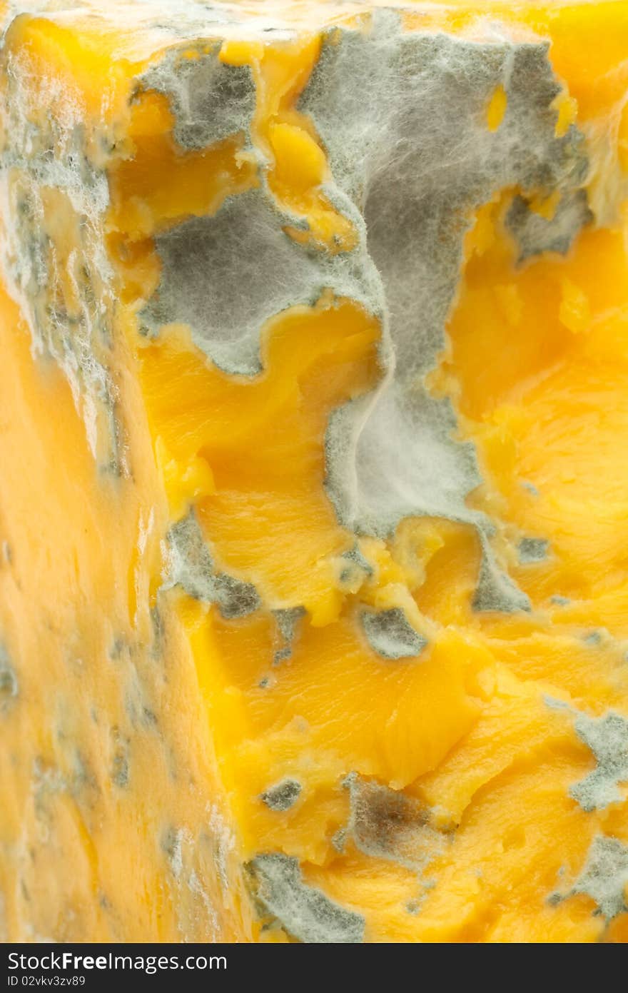 Cheese with mould. Close-up. Isolated on a white background. Cheese with mould. Close-up. Isolated on a white background.