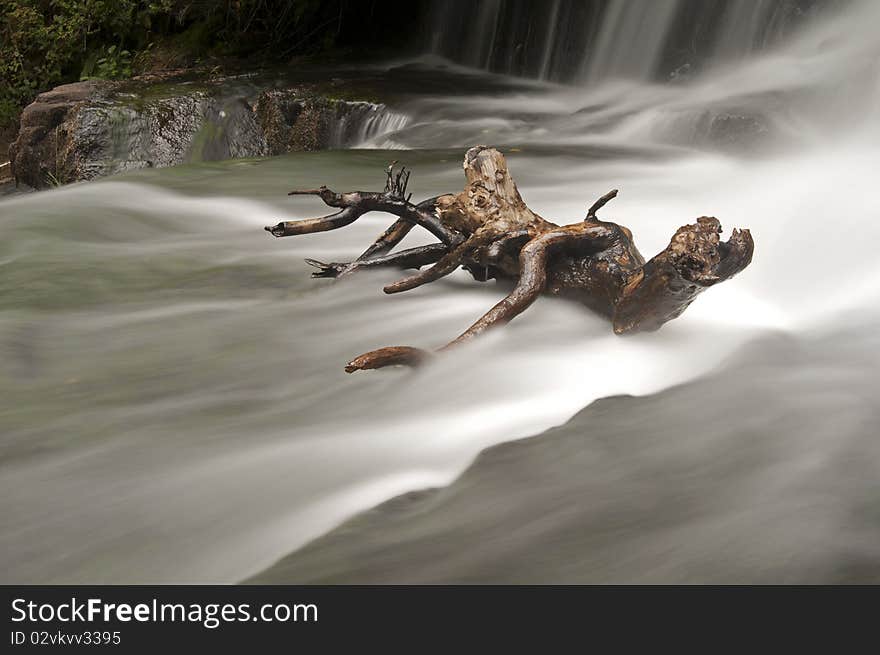 Waterfall With Wood