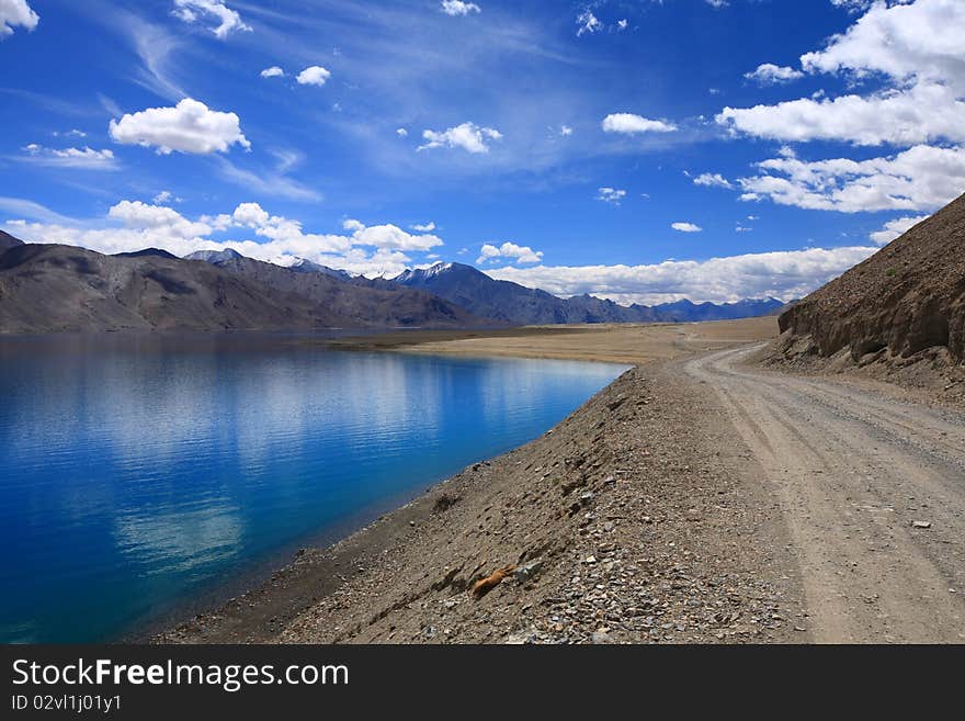 Beautiful Lake View Landscape