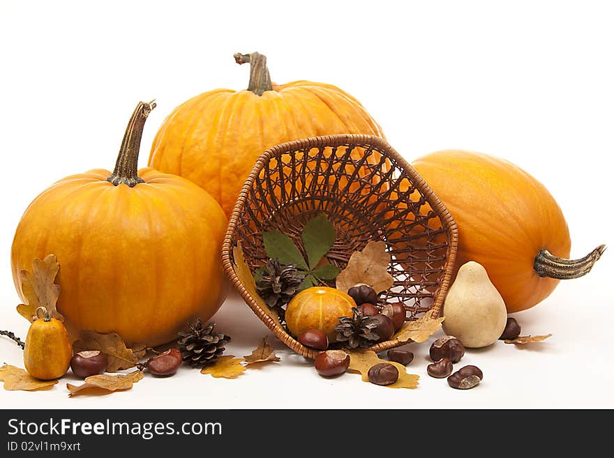 Isolated orange pumpkins with chesnuts for halloween. Isolated orange pumpkins with chesnuts for halloween