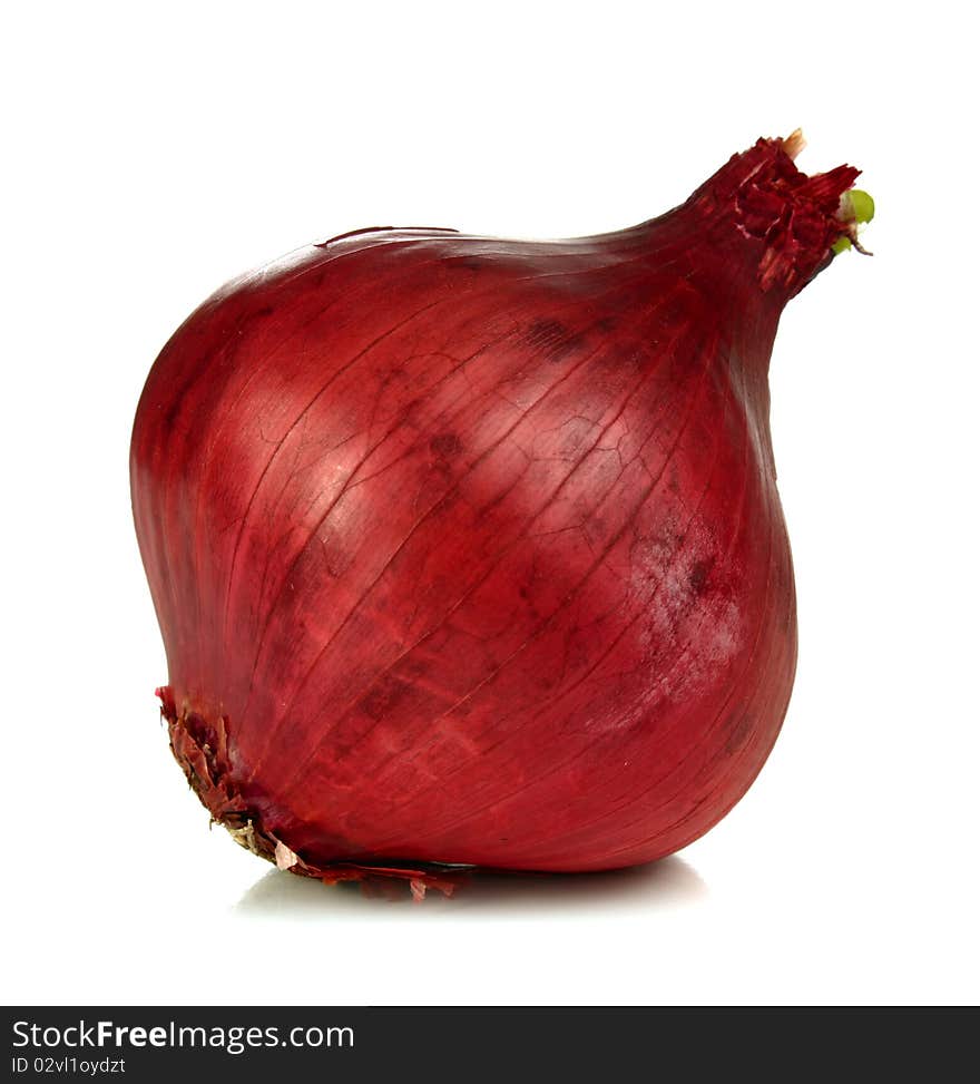 Onion