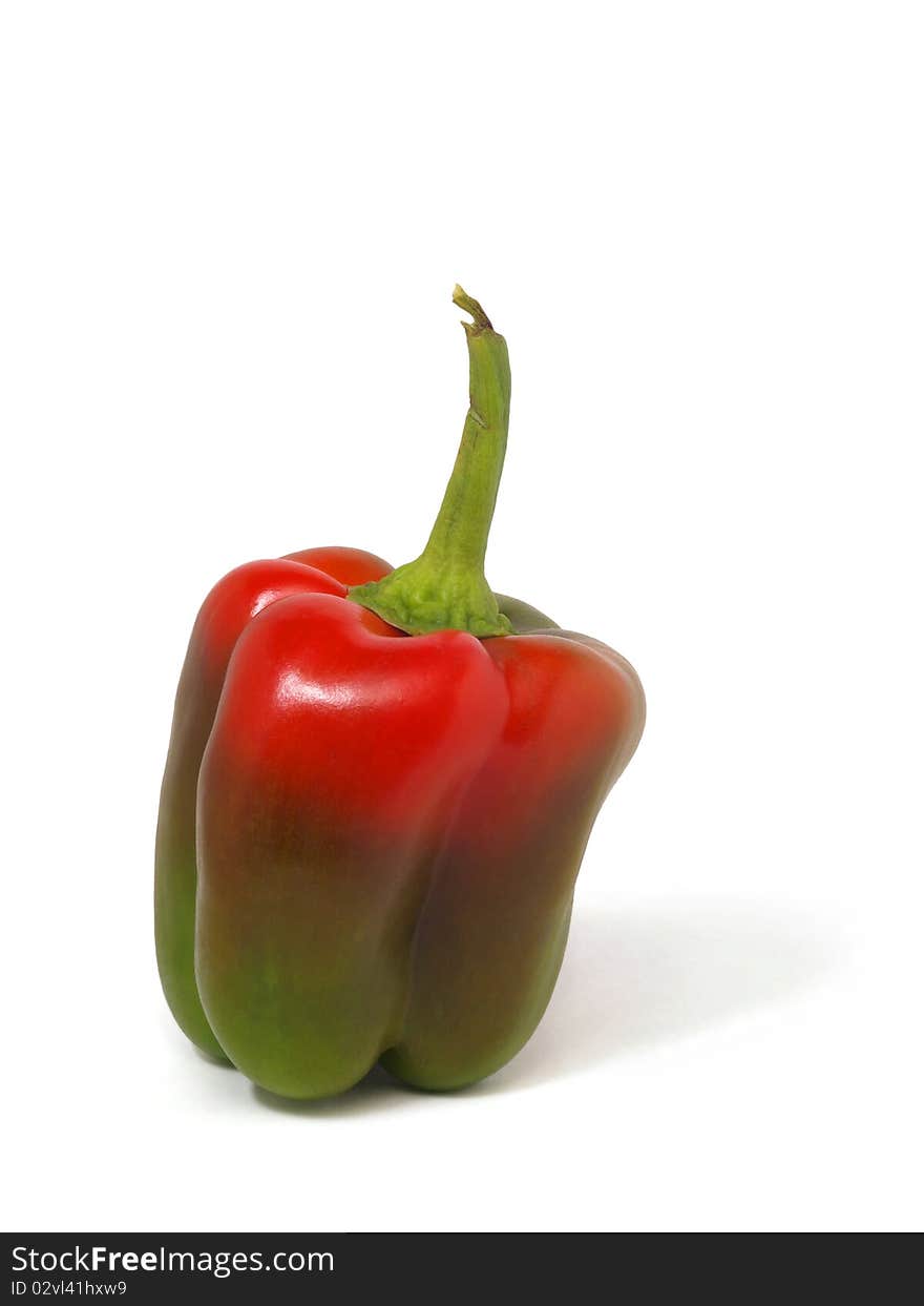 Ripening red bell pepper