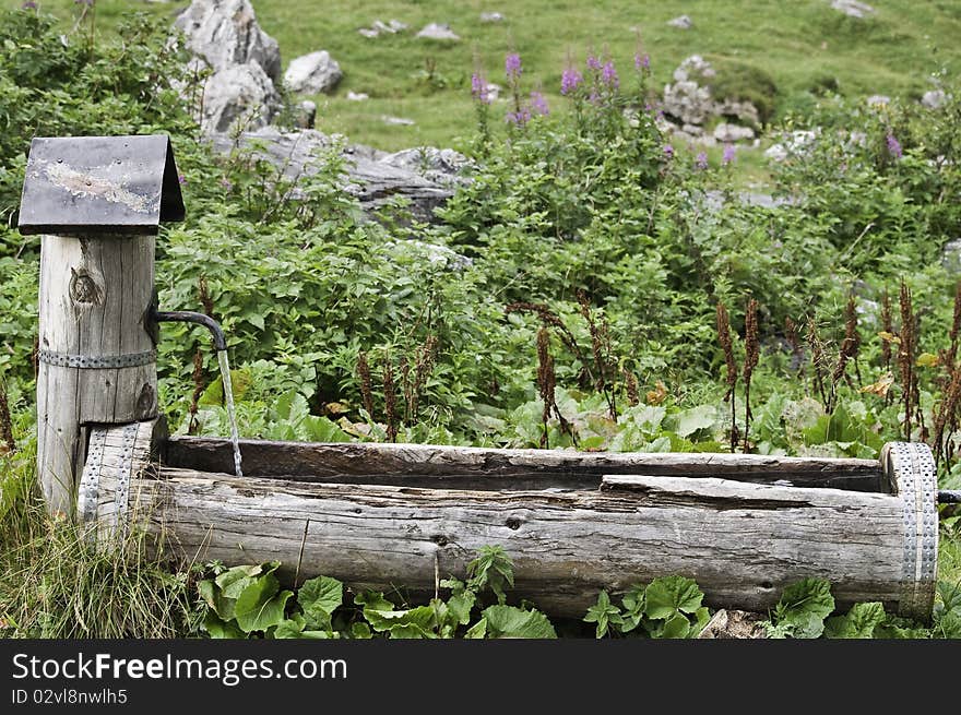 In the national park of La Vanoise, this source is made of wood. In the national park of La Vanoise, this source is made of wood