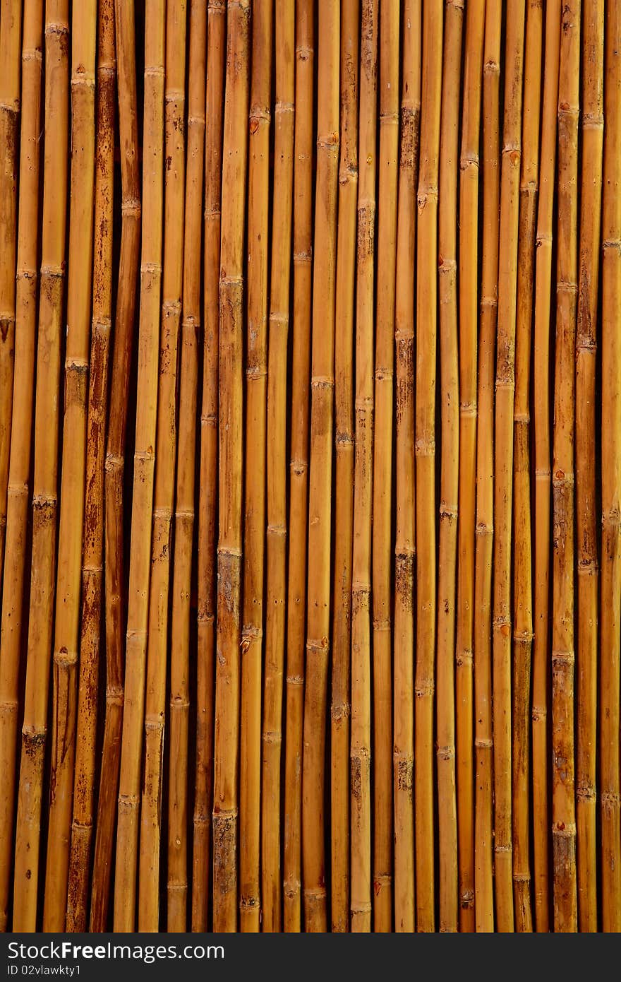 Close up of bamboo wall