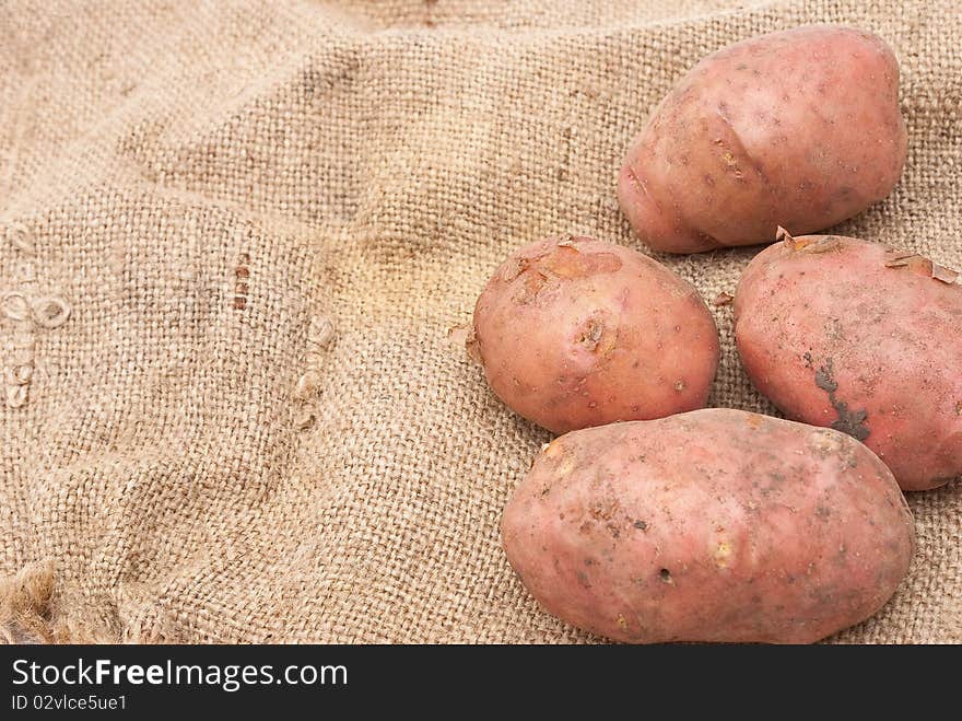 Fresh potatoes on sackcloth material