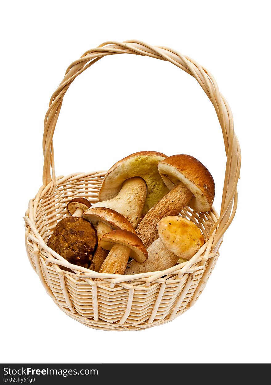 Small basket with mushrooms