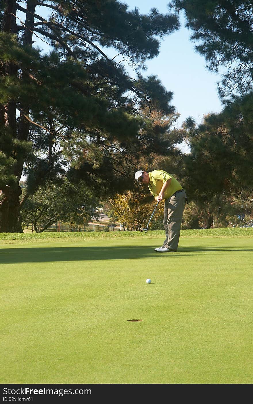 Young male golfer hitting the ball on the putting green on a beautiful summer day. Young male golfer hitting the ball on the putting green on a beautiful summer day